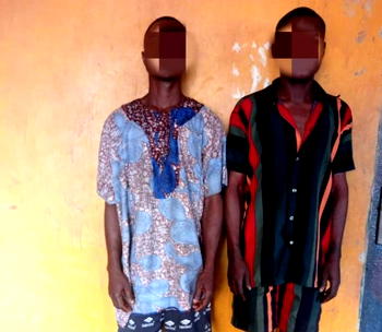 Ogun man steals goat for daughter’s naming