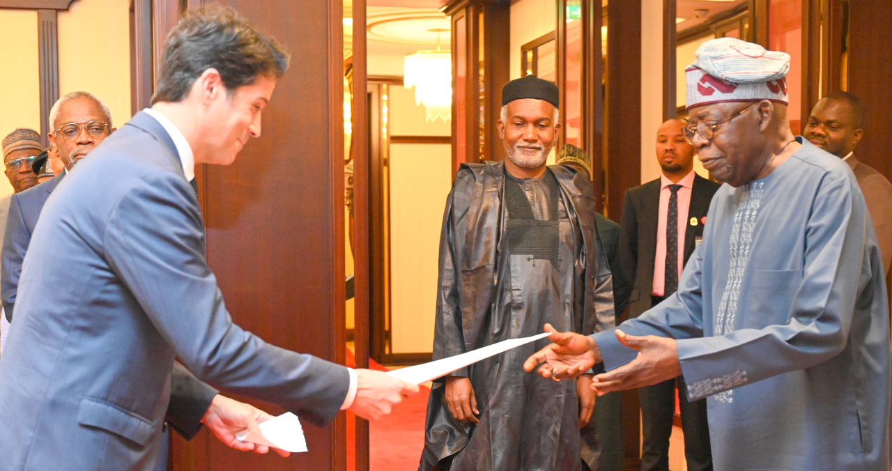 Tinubu lauds accomplishments of Diaspora Nigerians