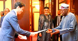 Tinubu lauds accomplishments of Diaspora Nigerians