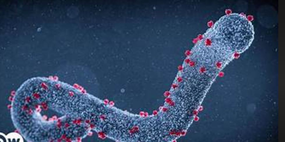 Tanzania declares Marburg Virus disease outbreak