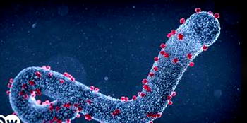 Tanzania declares Marburg Virus disease outbreak