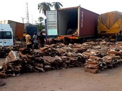 Customs seizes N4.2bn worth of donkey skins