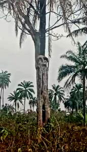 ‘Mysterious tourism site’ discovered in Ekiti