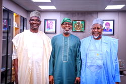 Nasarawa to be Nigeria’s mining hub – Alake