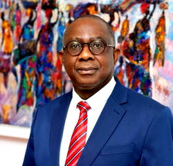 AfDB chief calls for economic diversification to boost Nigeria’s industrial growth