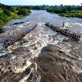 5 longest rivers in Africa in 2025