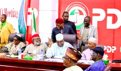 PDP crisis: Members suggest solutions, recommend sanctions