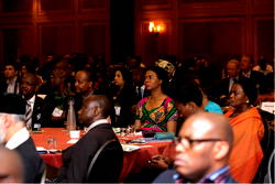 NDDIS partners Office of the President, NIDCOM to host investment summit in London