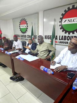 National Assembly strengthens ties with NLC