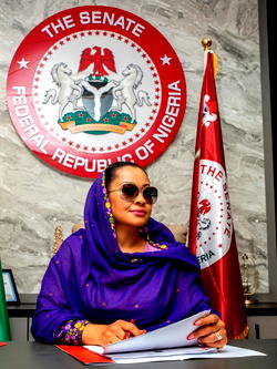 Analyst debunks Senator Natasha’s claim on senate seating position