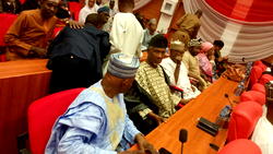 Why it’s necessary to establish FMC Gembu-Stakeholders