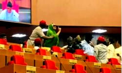 Rowdy Senate as Senator Natasha protests seat change