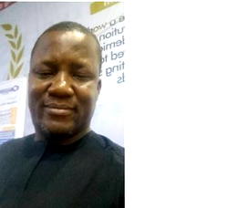 Govt should prioritize indigenous languages for national devt – Ilobanafor