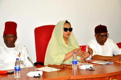 Functional governance key to addressing ‘JAPA’ syndrome — Natasha