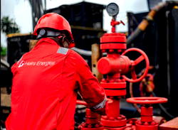 Heirs Energies convenes industry leaders to grow nation’s oil output