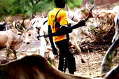Fresh herders’ attack claims two lives in Benue community, others missing