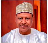 Minister of Information, Mohammed Idris, loses mother-in-law