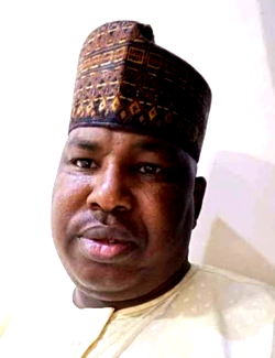 PDP lawmakers are active, not dormant – Dingyadi