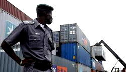 Customs intercepts container-load of donkey genitals