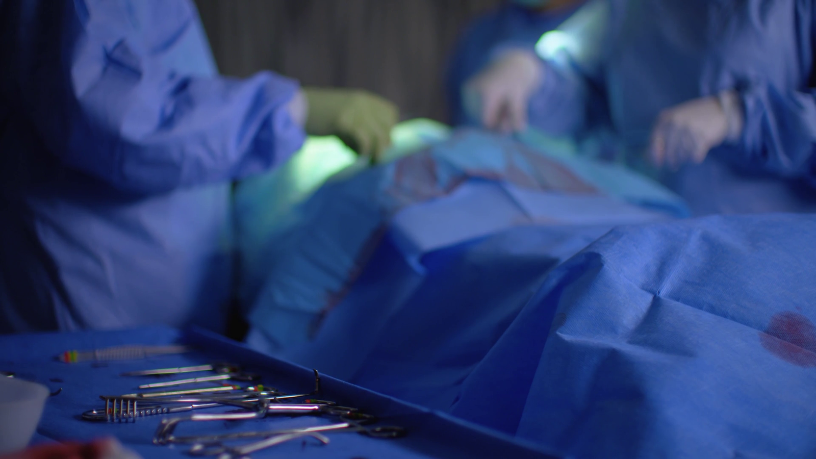 organ harvesting