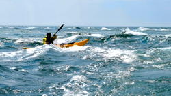 Whale swallows kayaker in Chile, spits him out