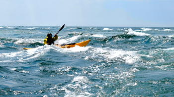 Whale swallows kayaker in Chile, spits him out