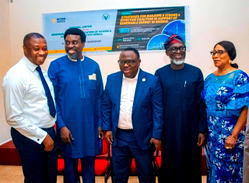 Power Crisis: Experts urge FG to attract investments in renewable energy