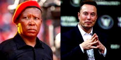 Again, Musk slams Malema over ‘genocidal’ comments