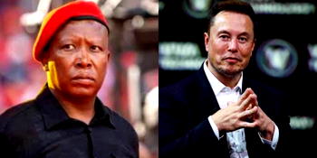 Again, Musk slams Malema over ‘genocidal’ comments
