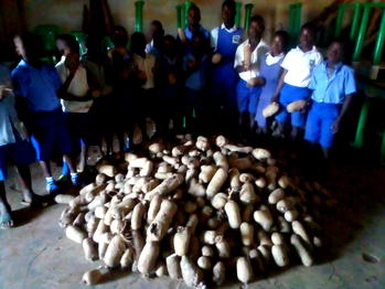 Benue SUBEB expands AETP, commences intensive monitoring of school farms