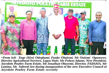 How technology’ll help Aiyedoto farm settlement increase yield — Adams