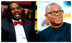 Do you even know the meaning of democracy? — Bwala blasts Peter Obi
