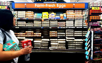 Egg prices soar in New York as bird flu rages