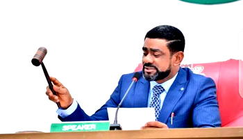 Plots to remove Edo Assembly Speaker thicken