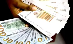 Govt borrowing should focus  on infrastructure, improving Ease of Doing Business — ICAN