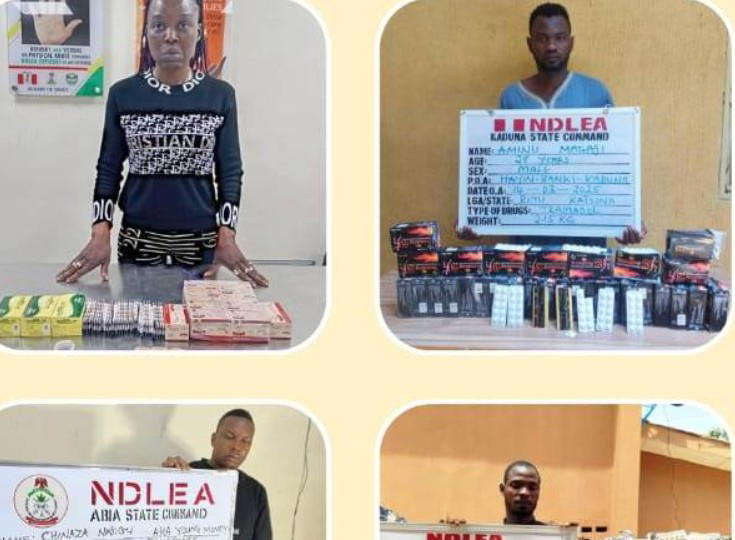 NDLEA foils drug shipments to US, Saudi Arabia, others; arrests two suspects