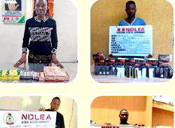 NDLEA foils drug shipments to US, Saudi Arabia, others; arrests two suspects