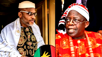 Free Kanu in honour of Clerk, Adebanjo, others — SAN begs Tinubu