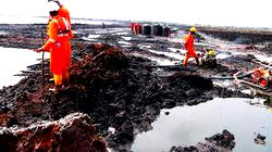 As Ogoni clean-up gathers pace