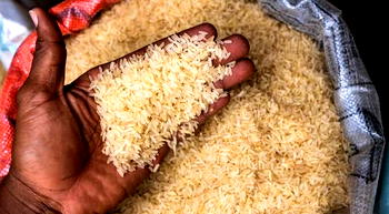 Rice crisis deepens: Prices soar above minimum wage amid quality concerns