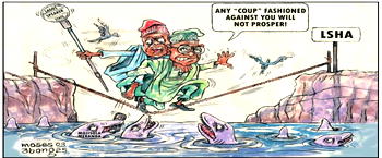 Cartoon: Gold-medallist swimmers