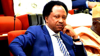 Collective action needed over Kajuru kidnapping – Shehu Sani