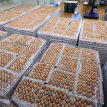 Saudi Arabia bans poultry egg imports from Nigeria, 39 other countries
