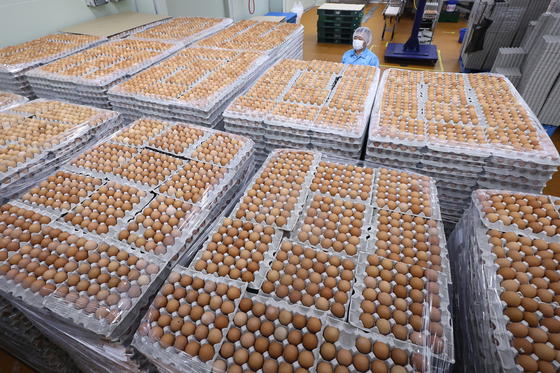 US imports eggs from Korea, Turkey to help reduce prices