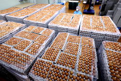 Saudi Arabia bans poultry egg imports from Nigeria, 39 other countries