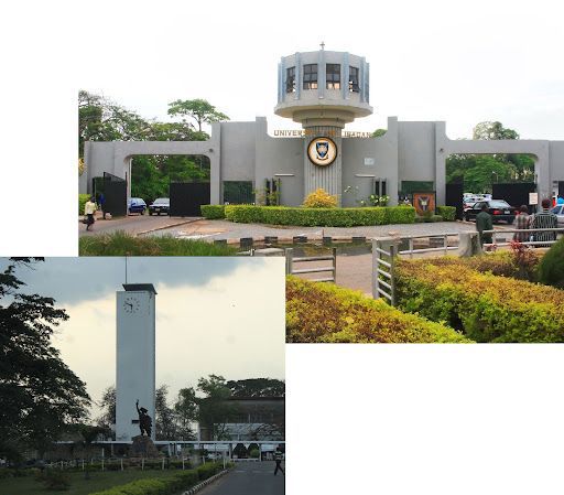The legacy of the University of Ibadan: A cradle of excellence