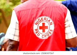 Nigeria becoming global humanitarian hub – Red Cross