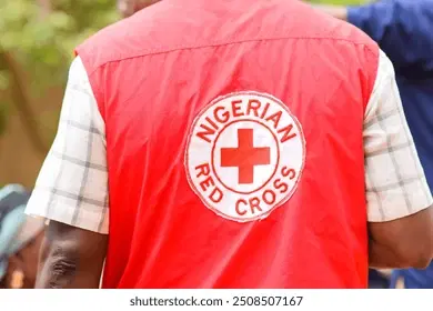 Red Cross denies backing armed groups in northern Nigeria