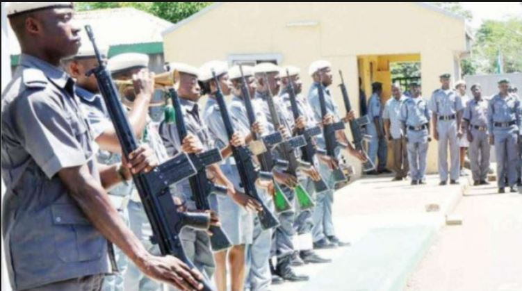Customs intercept trafficker with large quantity of Pangolin scales in Kano