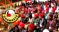 Ohanaeze Ndigbo amends constitution, calls for submissions